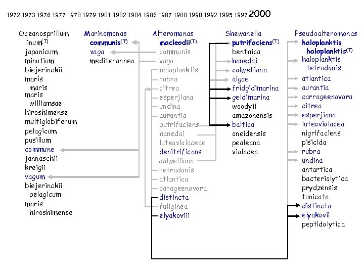1972 1973 1976 1977 1978 1979 1981 1982 1984 1986 1987 1988 1990 1992
