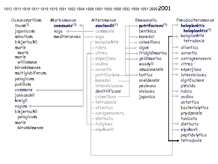 1972 1973 1976 1977 1978 1979 1981 1982 1984 1986 1987 1988 1990 1992