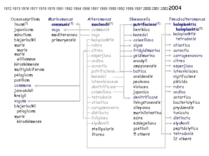 1972 1973 1976 1977 1978 1979 1981 1982 1984 1986 1987 1988 1990 1992