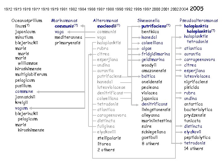 1972 1973 1976 1977 1978 1979 1981 1982 1984 1986 1987 1988 1990 1992