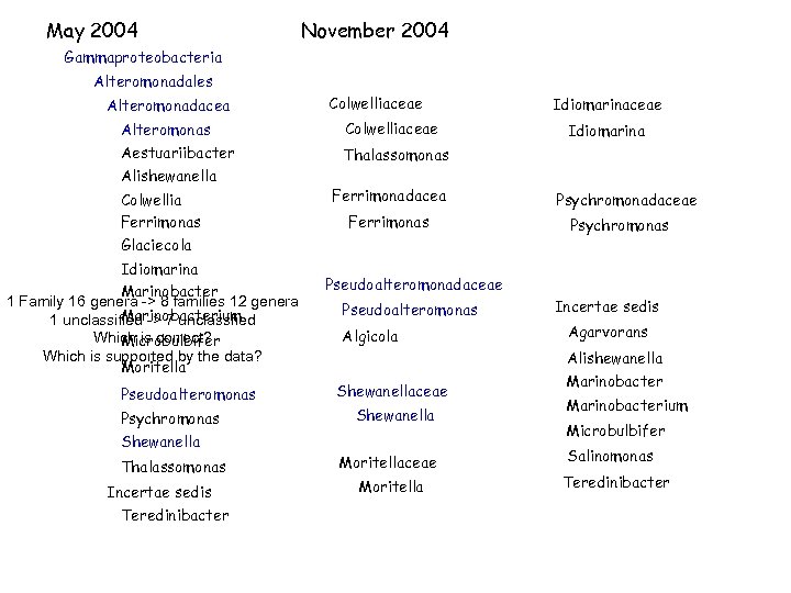 May 2004 November 2004 Gammaproteobacteria Alteromonadales Alteromonadacea Colwelliaceae Alteromonas Colwelliaceae Aestuariibacter Idiomarinaceae Thalassomonas Alishewanella