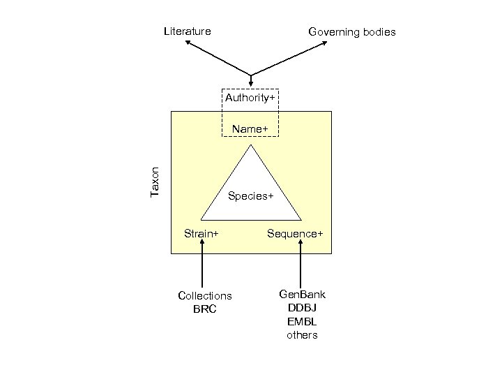 Literature Governing bodies Authority+ Taxon Name+ Species+ Strain+ Collections BRC Sequence+ Gen. Bank DDBJ