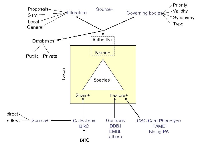 Proposals STM Legal General Source+ Literature Governing bodies Priority Validity Synonymy Type Authority+ Databases