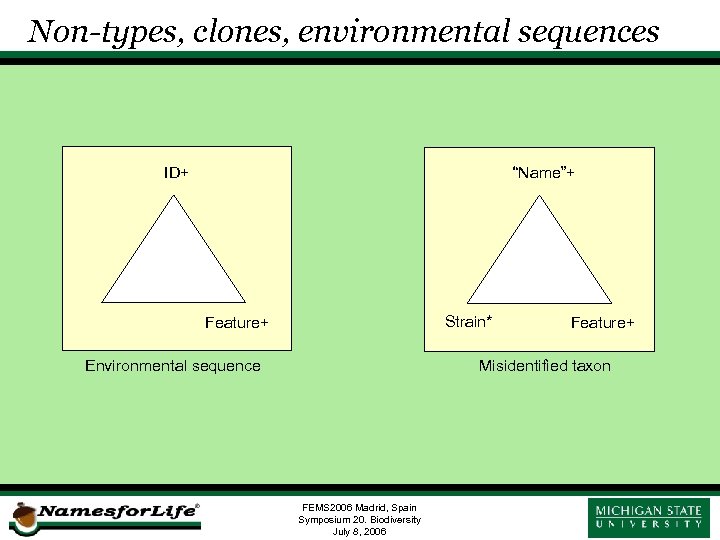 Non-types, clones, environmental sequences ID+ “Name”+ Strain* Feature+ Environmental sequence Feature+ Misidentified taxon FEMS