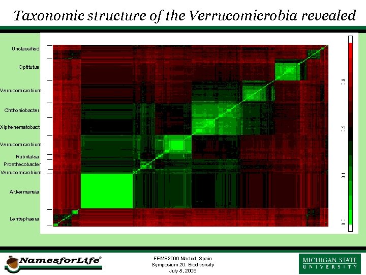 Taxonomic structure of the Verrucomicrobia revealed Unclassified Optitutus Verrucomicrobium Chthoniobacter Xiphenematobact Verrucomicrobium Rubritalea Prosthecobacter
