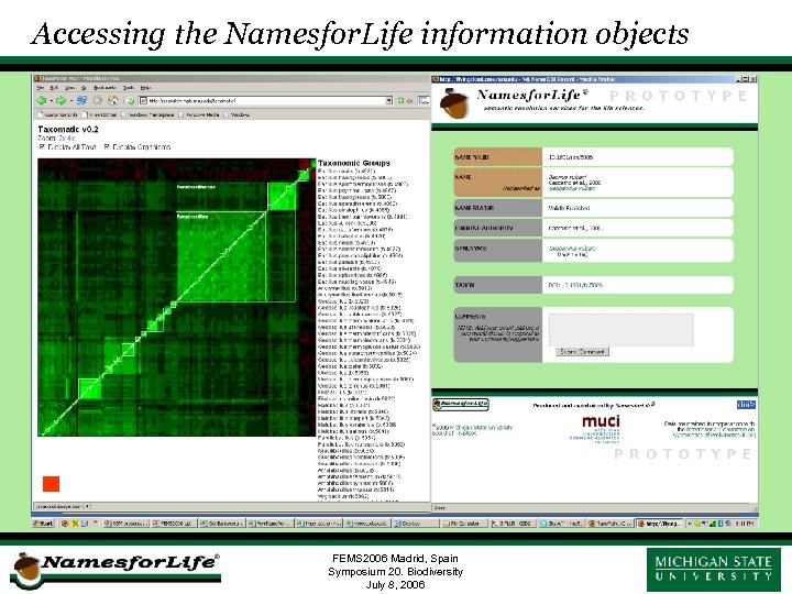 Accessing the Namesfor. Life information objects FEMS 2006 Madrid, Spain Symposium 20. Biodiversity July