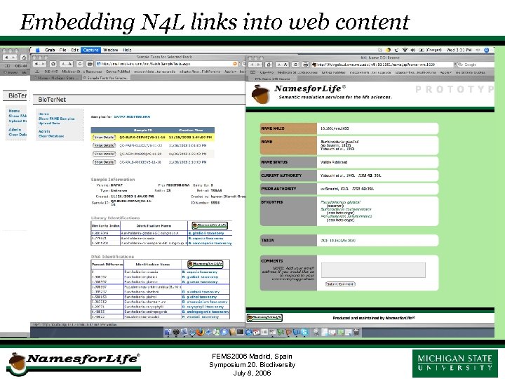 Embedding N 4 L links into web content FEMS 2006 Madrid, Spain Symposium 20.