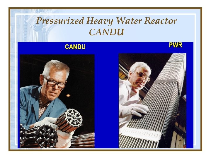 Pressurized Heavy Water Reactor CANDU 
