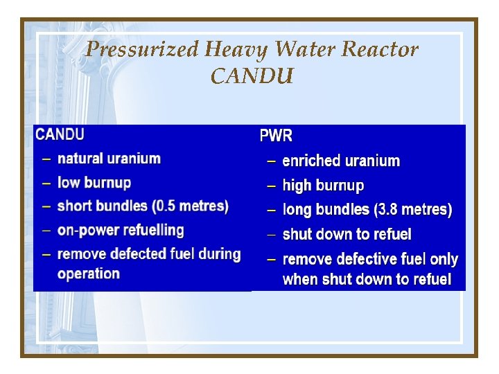 Pressurized Heavy Water Reactor CANDU 