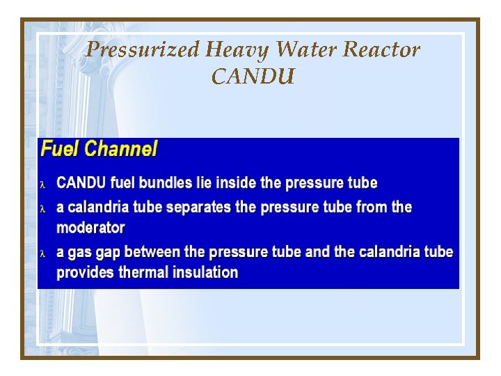 Pressurized Heavy Water Reactor CANDU 