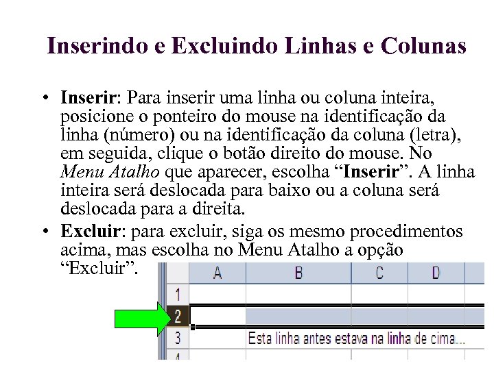 Inserindo e Excluindo Linhas e Colunas • Inserir: Para inserir uma linha ou coluna