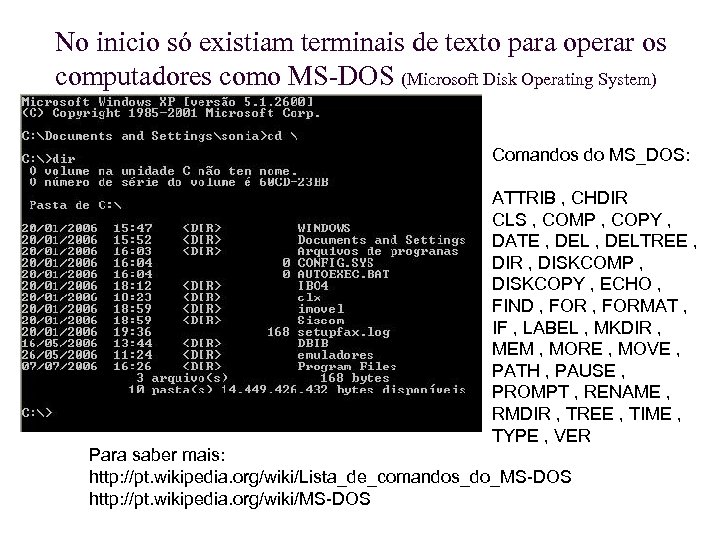 No inicio só existiam terminais de texto para operar os computadores como MS-DOS (Microsoft