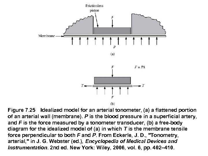 Figure 7. 25 Idealized model for an arterial tonometer, (a) a flattened portion of an