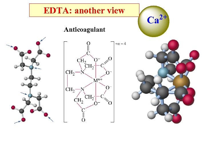 EDTA: another view Anticoagulant 