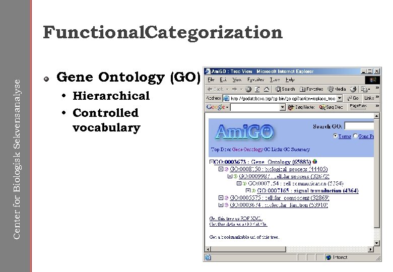 Center for Biologisk Sekvensanalyse Functional. Categorization Gene Ontology (GO) • Hierarchical • Controlled vocabulary