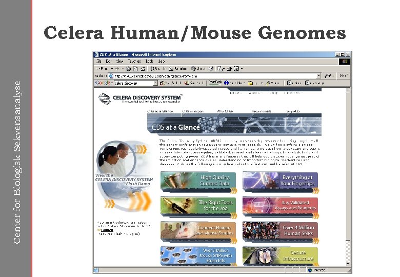 Center for Biologisk Sekvensanalyse Celera Human/Mouse Genomes 