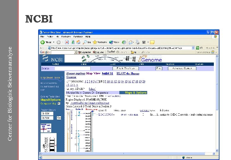 Center for Biologisk Sekvensanalyse NCBI 