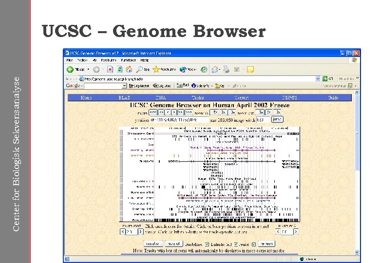 Center for Biologisk Sekvensanalyse UCSC – Genome Browser 