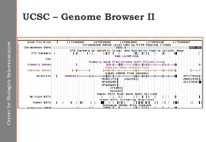 Center for Biologisk Sekvensanalyse UCSC – Genome Browser II 