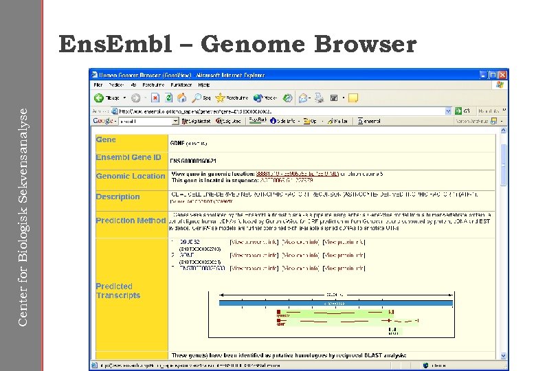 Center for Biologisk Sekvensanalyse Ens. Embl – Genome Browser 