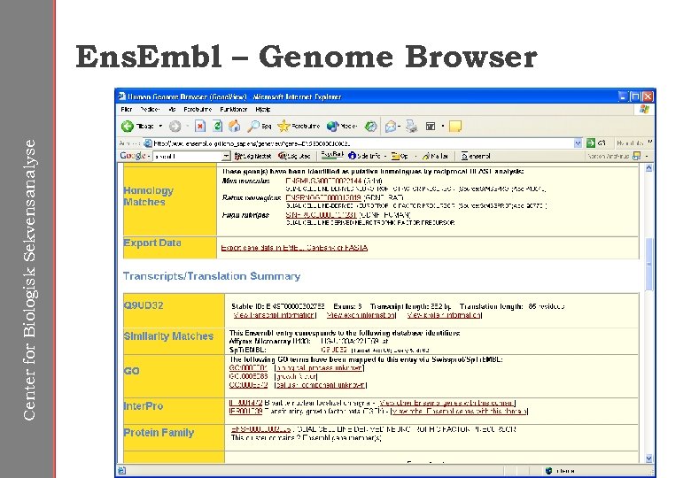 Center for Biologisk Sekvensanalyse Ens. Embl – Genome Browser 