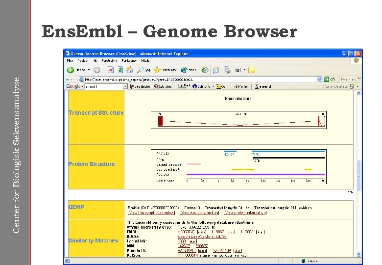 Center for Biologisk Sekvensanalyse Ens. Embl – Genome Browser 