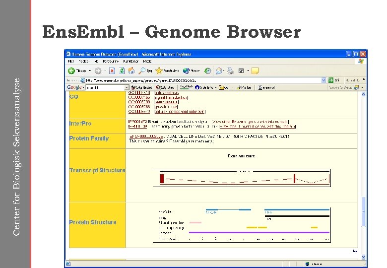 Center for Biologisk Sekvensanalyse Ens. Embl – Genome Browser 