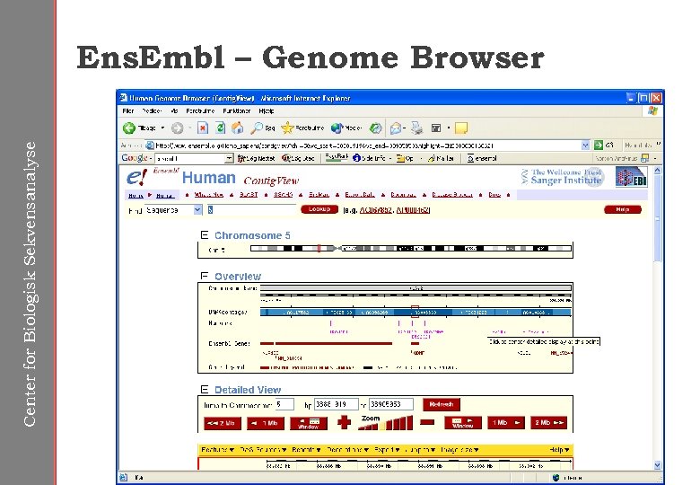 Center for Biologisk Sekvensanalyse Ens. Embl – Genome Browser 
