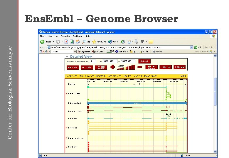 Center for Biologisk Sekvensanalyse Ens. Embl – Genome Browser 
