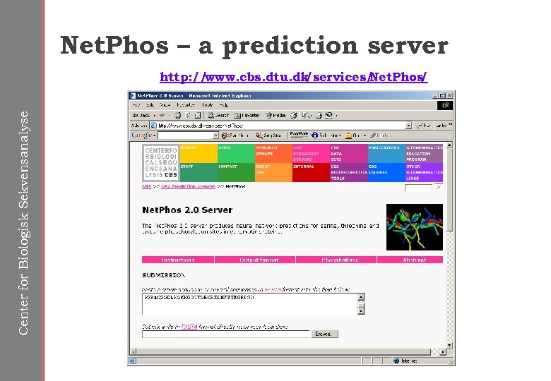 Net. Phos – a prediction server Center for Biologisk Sekvensanalyse http: // www. cbs.