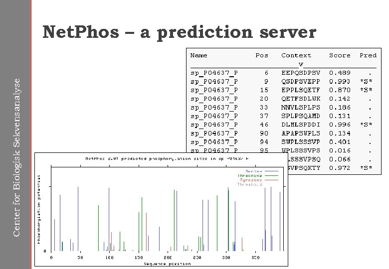Center for Biologisk Sekvensanalyse Net. Phos – a prediction server 