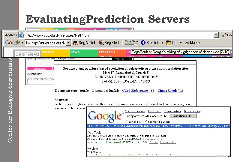 Center for Biologisk Sekvensanalyse Evaluating. Prediction Servers 