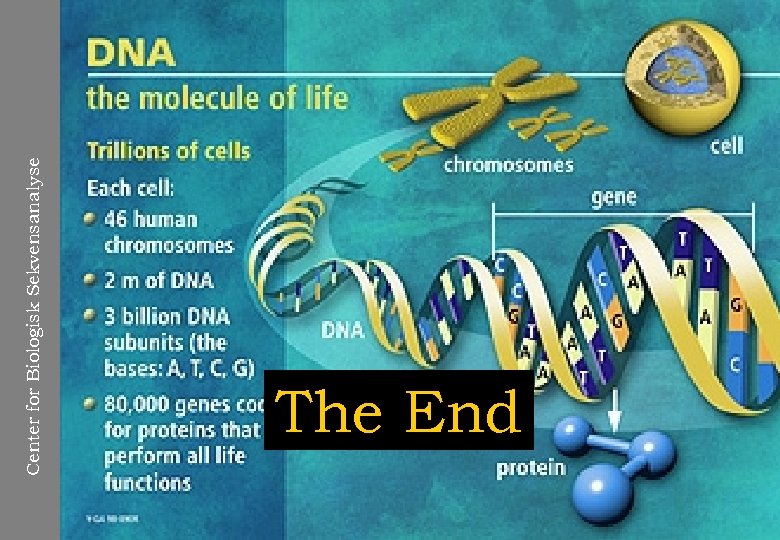 Center for Biologisk Sekvensanalyse The End 