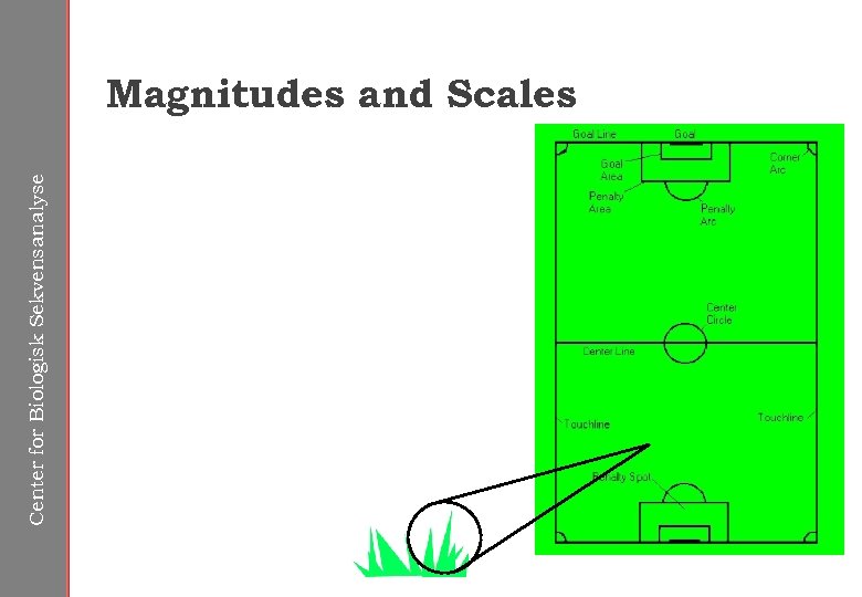 Center for Biologisk Sekvensanalyse Magnitudes and Scales 