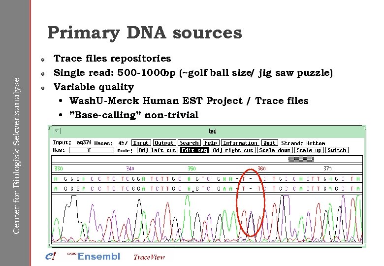 Center for Biologisk Sekvensanalyse Primary DNA sources Trace files repositories Single read: 500 -1000