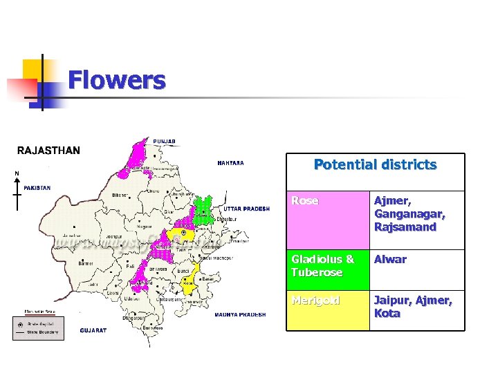 Flowers Potential districts Rose Ajmer, Ganganagar, Rajsamand Gladiolus & Tuberose Alwar Merigold Jaipur, Ajmer,