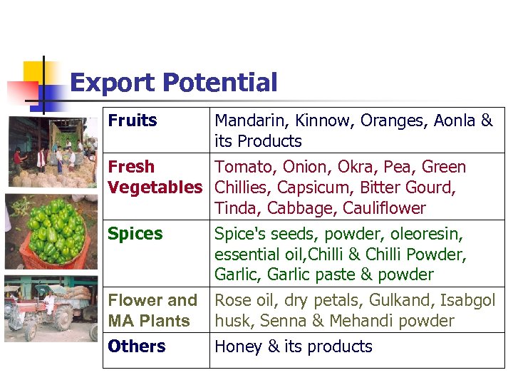 Export Potential Fruits Mandarin, Kinnow, Oranges, Aonla & its Products Fresh Tomato, Onion, Okra,