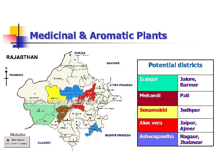 Medicinal & Aromatic Plants Potential districts Isabgol Jalore, Barmer Mehandi Pali Sonamukhi Jodhpur Aloe