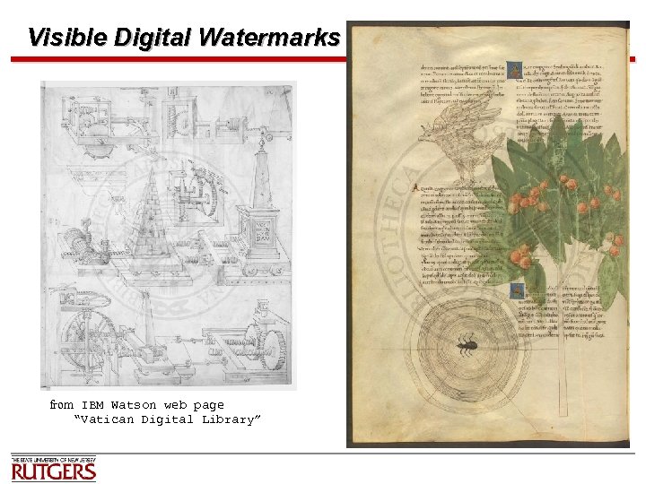 Visible Digital Watermarks from IBM Watson web page “Vatican Digital Library” 