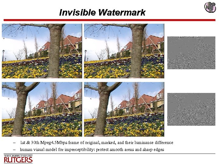 Invisible Watermark – 1 st & 30 th Mpeg 4. 5 Mbps frame of