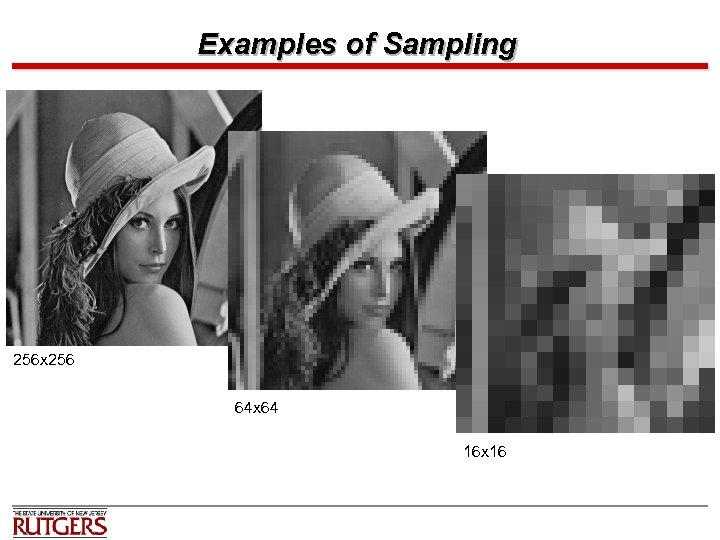 Examples of Sampling 256 x 256 64 x 64 16 x 16 