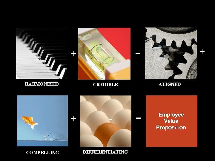 + HARMONIZED ALIGNED CREDIBLE = + COMPELLING + + DIFFERENTIATING 15 Employee Value Proposition