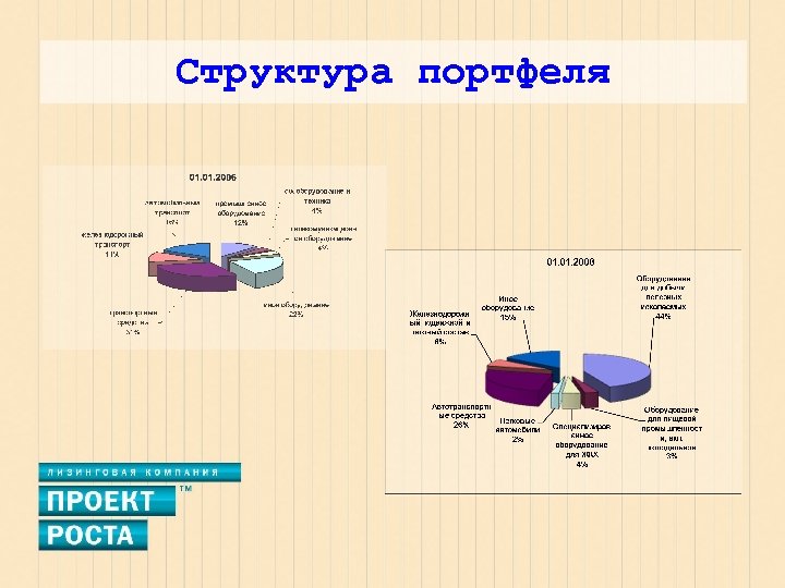 Структура портфеля 