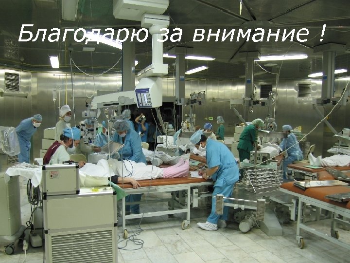 Благодарю за внимание ! 