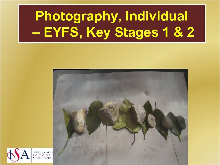 Photography, Individual – EYFS, Key Stages 1 & 2 