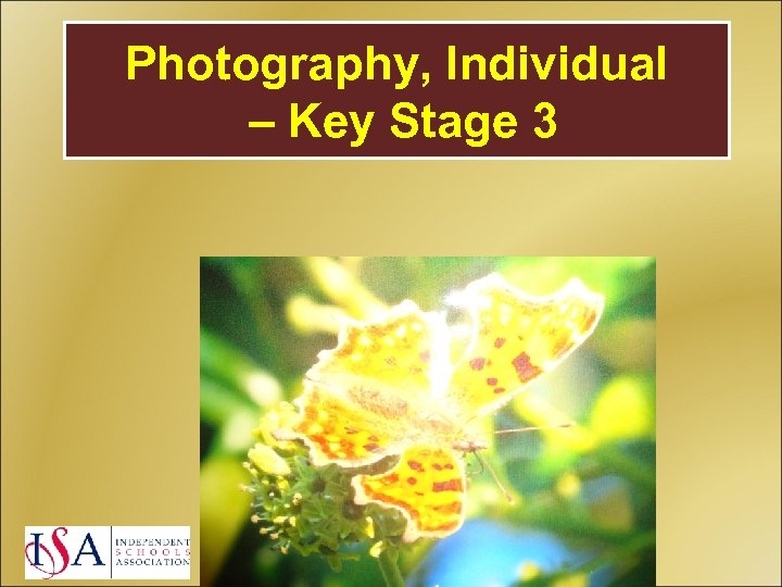 Photography, Individual – Key Stage 3 
