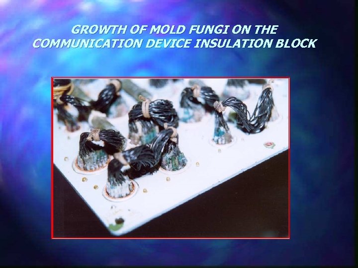 GROWTH OF MOLD FUNGI ON THE COMMUNICATION DEVICE INSULATION BLOCK 