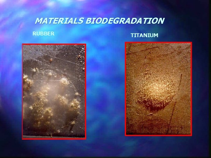 MATERIALS BIODEGRADATION RUBBER TITANIUM 
