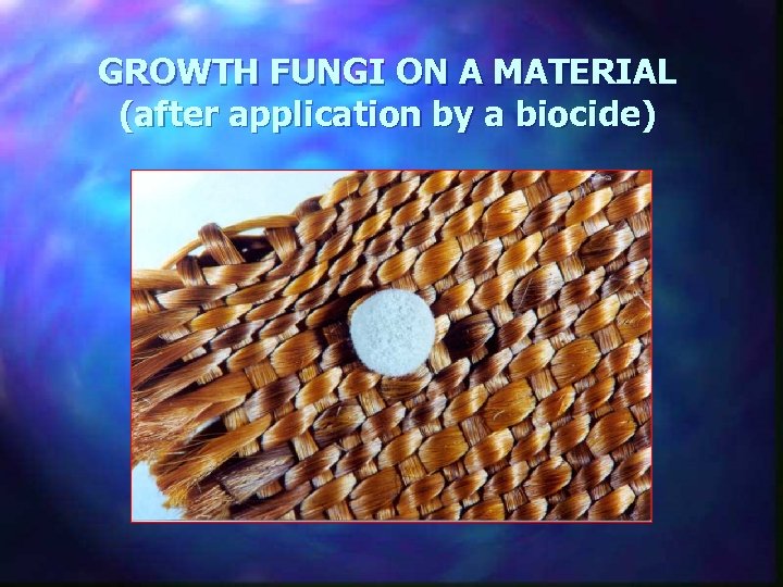 GROWTH FUNGI ON A MATERIAL (after application by a biocide) 