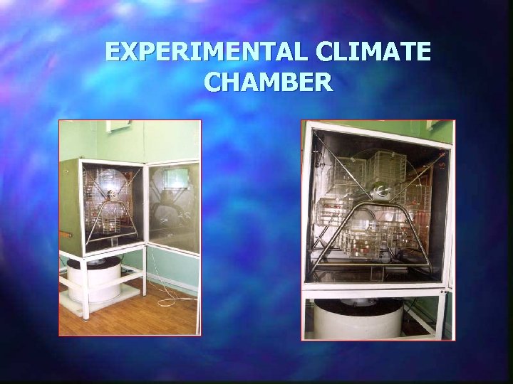EXPERIMENTAL CLIMATE CHAMBER 